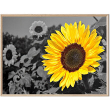 Tableau sur toile Arbre jaune, style vintage, automne, érable