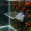 Floating Acrylic Aquarium Plant Stand with Suction Cup Clear 3