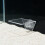 Floating Acrylic Aquarium Plant Stand with Suction Cup Clear 8