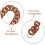 2Pcs Versatile Brown Plastic Chain Strap for Crossbody Bags DIY Use 4