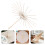 Beige Bamboe Handgemaakte Oliepapier Parasol Frame DIY 6