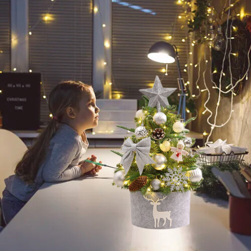 Mini Flocked Christmas Tree with LED Lights 17 Inch 1