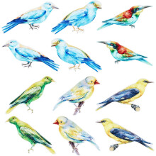 Pegatinas de pájaros para ventanas y refrigeradores (12 unidades)