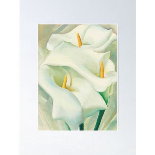 Georgia O'Keeffe Calla Lilies kunsttryk