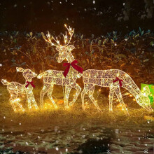 Outdoor LED Reindeer Decoration Set 3-Piece