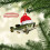 Personalized Green Bass Fish Ornament 2D 2