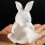 Silicone Rabbit Shaped Mold For Resin Casting Detailed Succulent 5