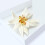Broche Edelweiss en émail léger, facile à porter sur n'importe 5