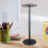 Metal Art Display Rack Adjustable Height Rotation for 3