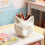Silicone Foxes Planter Crafting Mold For Resin Cement Casting 7