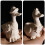 Versatile Silicone Duck Mold Projects Making Plant-pattern 1 5
