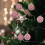 Hwkond Christmas Ornament Balls Red 12-Pack 5