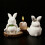 Silicone Rabbit Shaped Mold For Resin Casting Detailed Succulent 7