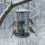3-in-1 Vogelfutterhaus mit Schale für Wildvögel 3
