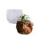 Moule de jardinière d'écureuil réutilisable, moules de-modèle 1 1