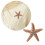 Broche en forme d'étoile de mer, accessoire polyvalent-Champagne 3