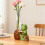 Hydroponic Plant Vase Silicone Mold Panda Rabbit Designs-10 6