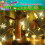 LED String Lights with Clips – Battery or USB Powered 1