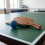 100Pièces De Ping-Pong Mat En PP Pour Jeux 9