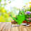 Metalen tuinhark – Compacte ergonomische handhark 3