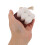 Brosse Nettoyage Bois De Hêtre Poils Doux Marron 7