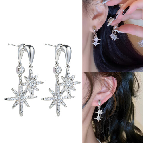 Comfortable Alloy Star Earrings With Glittering Zircon-silver 2