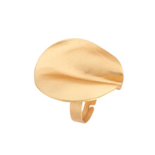 Geometrischer polierter Punk-Ring mit-Mattgold 1