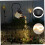 Solar LED String Light Replacement Panel 2.76x0.79 Inch 6