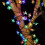 Solar Flower String Lights Outdoor Decor 20 LED 5