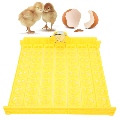 Automatisk eggvender for rugemaskiner, ABS, kapasitet på 56 egg