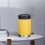 Stainless Steel Can Cooler for Beverages, 12oz 3