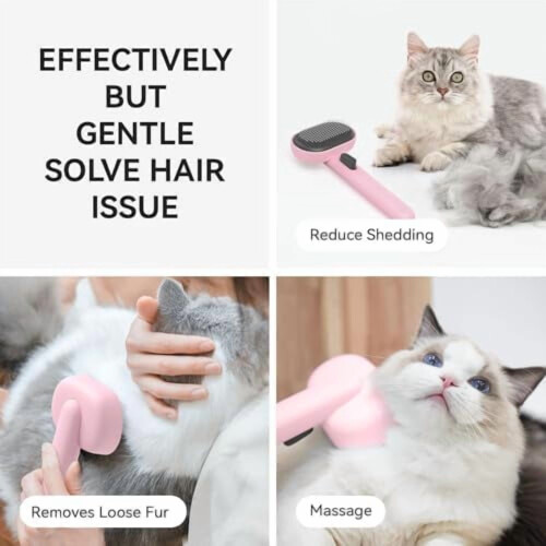 Kattborste för lång och kort päls 1