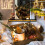 20-LED Battery Fairy Lights 7ft Silver Wire Warm White 3