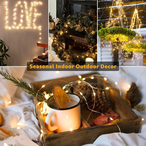 20-LED Battery Fairy Lights 7ft Silver Wire Warm White 2