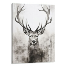 Deer Wall Art Print - Black and White Buck, 16x20 in