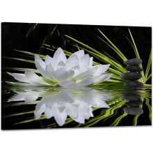 Zen Lotusbloem Canvas Print 12x16 inch