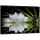 Zen Lotusbloem Canvas Print 12x16 inch 1