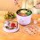 Mini Rice Cooker and Hot Pot 1.2L Multifunction 4