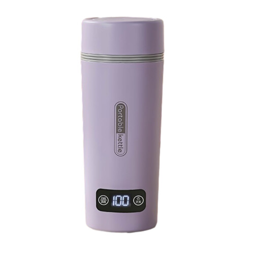 Electric Kettle Portable 350ml 4-Temp Control 304 Stainless 1
