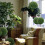 Liathróidí Bogsa Saorga Lasmuigh Topiary2 phíosa 4