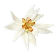 Broche Edelweiss en émail léger, facile à porter sur n'importe