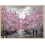 Yellow Tree Wall Art Canvas Vintage Autumn Maple 1