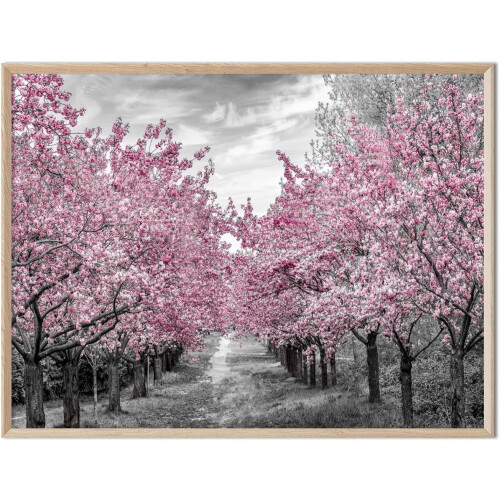 Yellow Tree Wall Art Canvas Vintage Autumn Maple