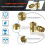 800Pcs Threaded Inserts,M2/M2.5/M3/M4/M5/M6 Thread Knurled Nuts Assortment Kit,Heat Set Insert for Plastic 3D Printing 3