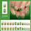 User Friendly ABS Short Glossy Press On Nail 24Pcs Artificial 2