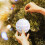 Yellow Christmas Tree Ornaments Set 3 pcs 8 cm 5
