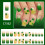 1Set Comfortable Short Press On Nail With Patrick Themed 2