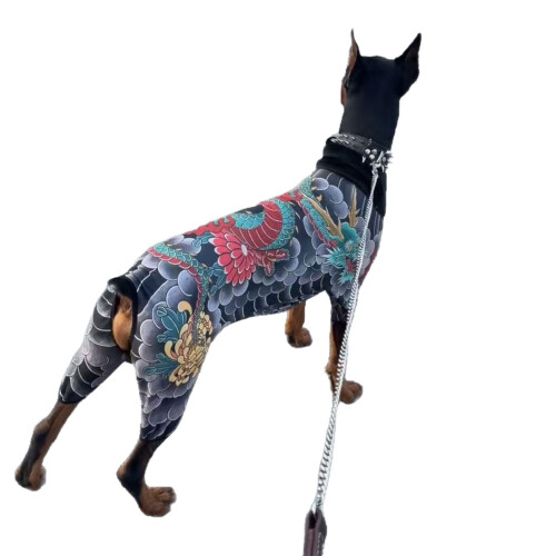 Strange Dog Tattooed Pattern Four-legged Apparel Pet-XXL 1