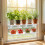 Transparency Suction Cup Indoor Plant Holder Glass-2 pack 7