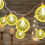 Lemon Slice LED String Lights, 59 in, Warm Glow, Battery 5